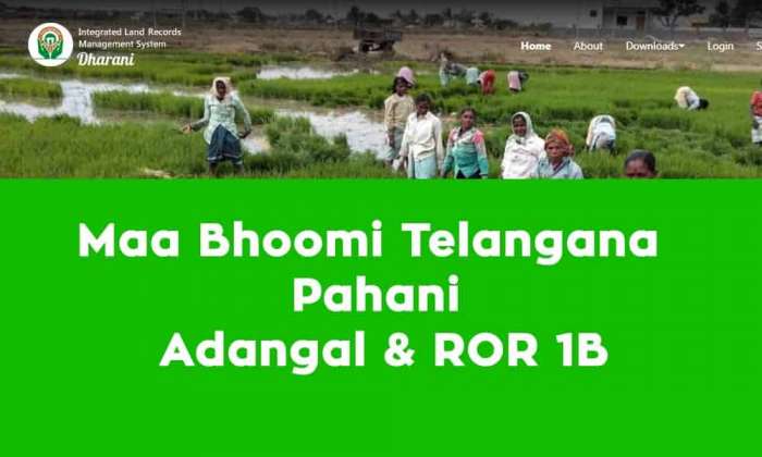 Maa Bhoomi Telangana Pahani, Adangal & ROR 1B