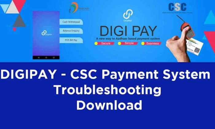 DIGIPAY CSC Payment System Troubleshooting Download