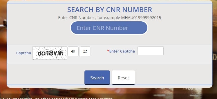 Search CNR Number Ecourts